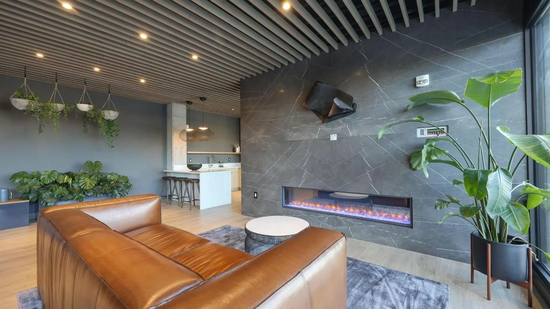 Hyve - Lush Plush - Walk To Broadway Nashville Holiday home
